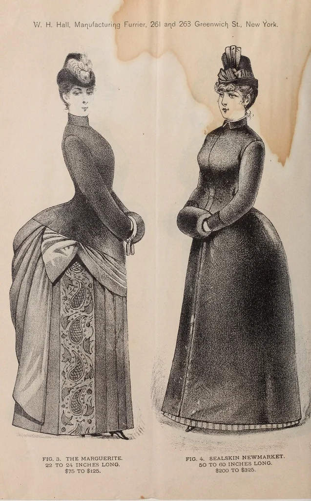 An illustration from Ladies' fine fur garments, 1889, leaf 12