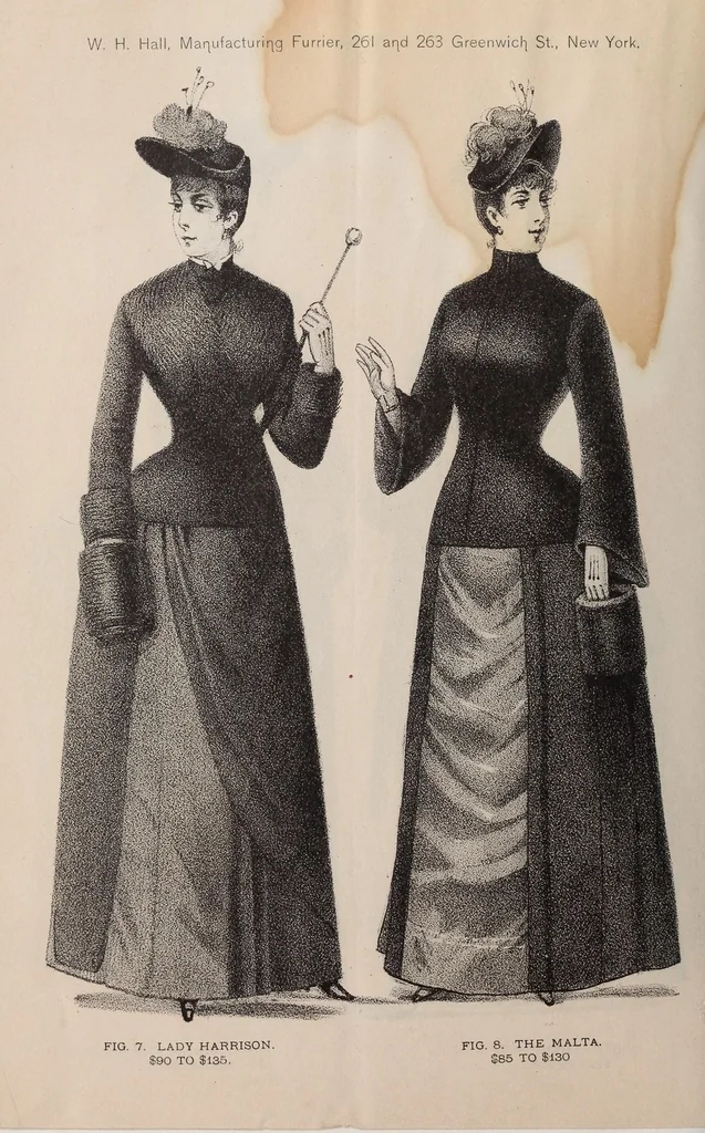 An illustration from Ladies' fine fur garments, 1889, leaf 14