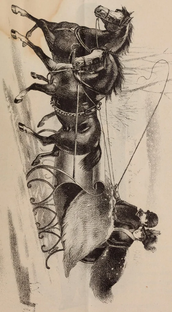 An illustration from Ladies' fine fur garments, 1889, leaf 29