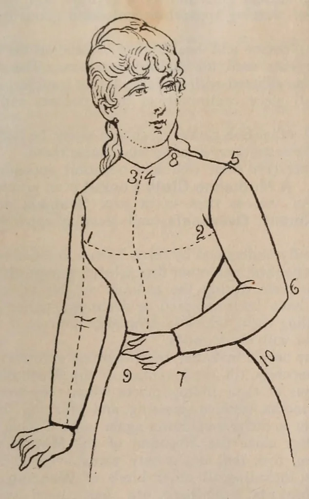 An illustration from Ladies' fine fur garments, 1889, leaf 31