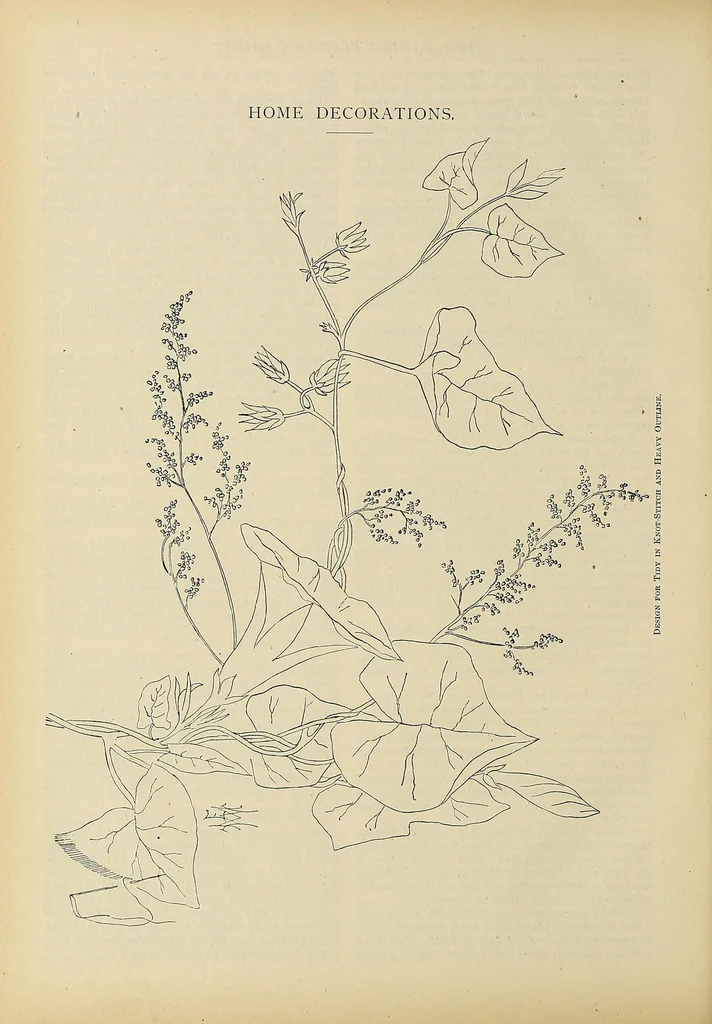 An illustration from The ladies' floral cabinet, 1871, leaf 184