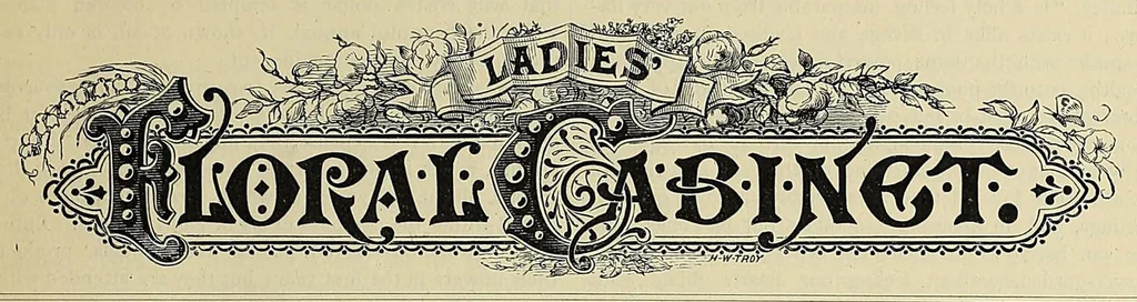 An illustration from The ladies' floral cabinet, 1871, leaf 103