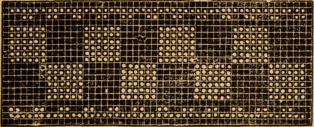 An illustration from The ladies' guide to needle work, embroidery, etc ... : being a complete guide to all kinds of ladies' fancy work, 1877, leaf 100