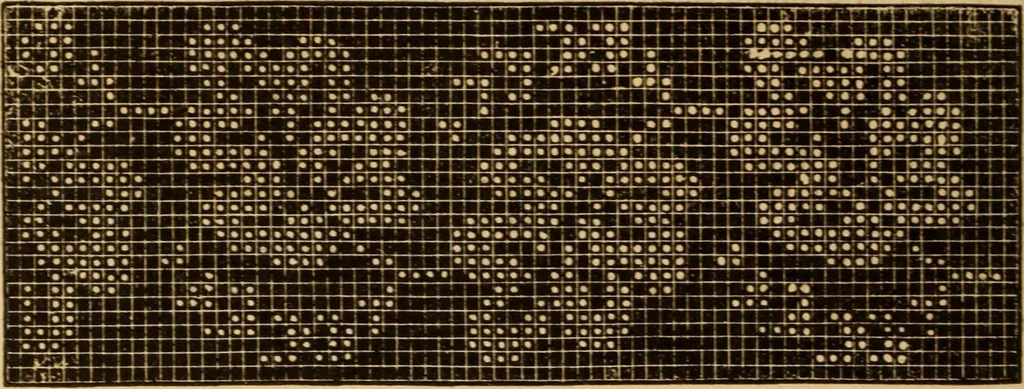 An illustration from The ladies' guide to needle work, embroidery, etc ... : being a complete guide to all kinds of ladies' fancy work, 1877, leaf 109
