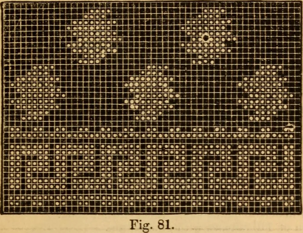 An illustration from The ladies' guide to needle work, embroidery, etc ... : being a complete guide to all kinds of ladies' fancy work, 1877, leaf 110