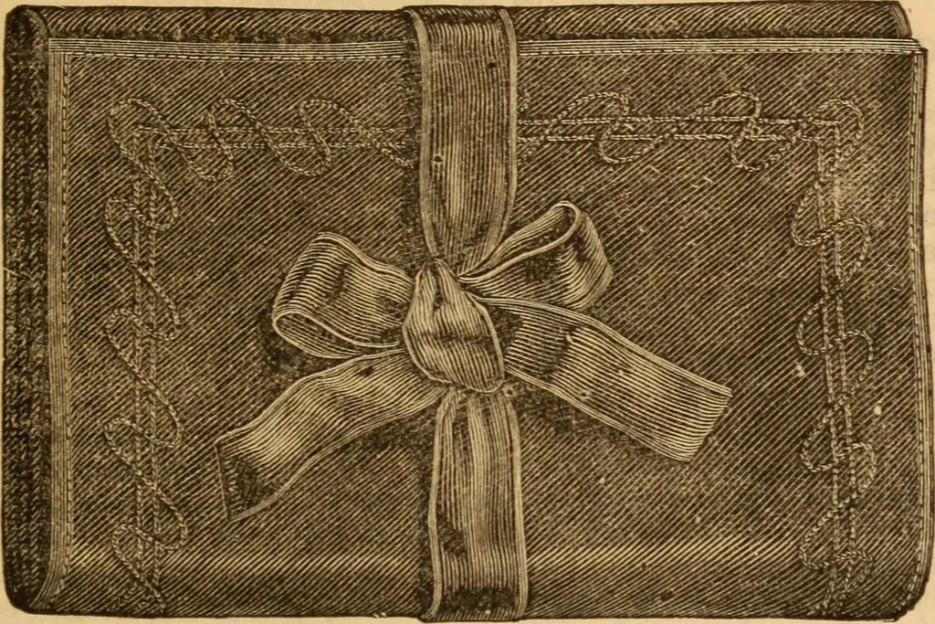 An illustration from The ladies' guide to needle work, embroidery, etc ... : being a complete guide to all kinds of ladies' fancy work, 1877, leaf 144