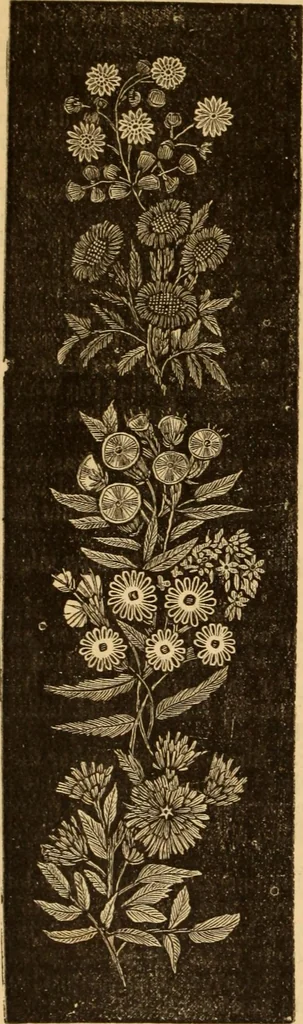 An illustration from The ladies' guide to needle work, embroidery, etc ... : being a complete guide to all kinds of ladies' fancy work, 1877, leaf 15