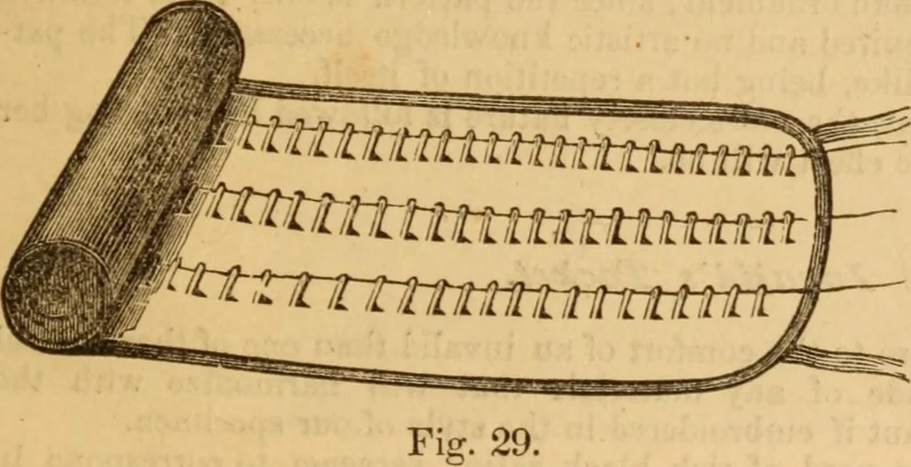 An illustration from The ladies' guide to needle work, embroidery, etc ... : being a complete guide to all kinds of ladies' fancy work, 1877, leaf 22