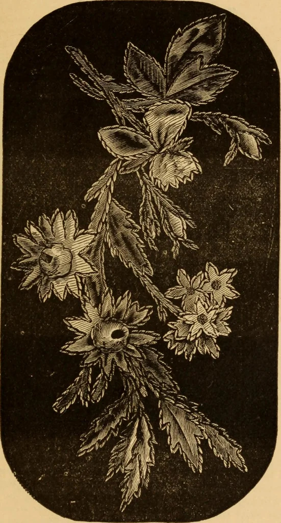 An illustration from The ladies' guide to needle work, embroidery, etc ... : being a complete guide to all kinds of ladies' fancy work, 1877, leaf 38
