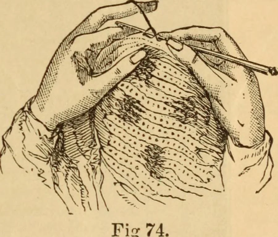 An illustration from The ladies' guide to needle work, embroidery, etc ... : being a complete guide to all kinds of ladies' fancy work, 1877, leaf 96