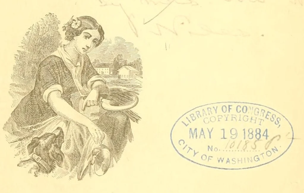 An illustration from The ladies' guide to elegant lace patterns, etc, 1884, leaf 1