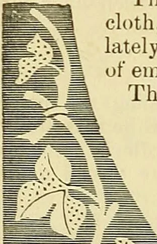 An illustration from The ladies' guide to needle work, embroidery, etc. : being a complete guide to all kinds of ladies' fancy work, 1877, leaf 11