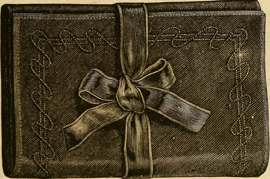 An illustration from The ladies' guide to needle work, embroidery, etc. : being a complete guide to all kinds of ladies' fancy work, 1877, leaf 144