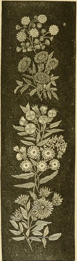 An illustration from The ladies' guide to needle work, embroidery, etc. : being a complete guide to all kinds of ladies' fancy work, 1877, leaf 15