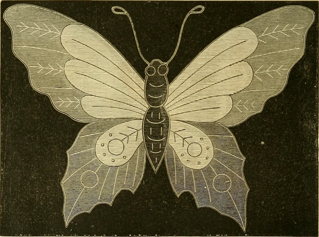 An illustration from The ladies' guide to needle work, embroidery, etc. : being a complete guide to all kinds of ladies' fancy work, 1877, leaf 35
