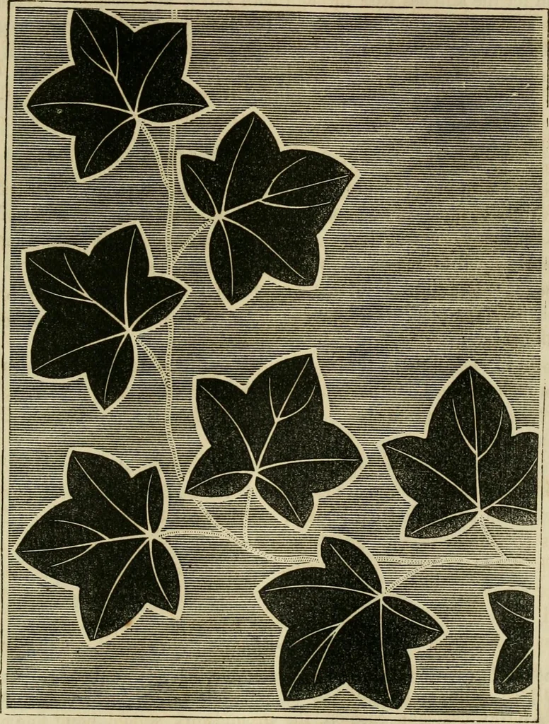An illustration from The ladies' hand book of fancy and ornamental work ..., 1859, leaf 104