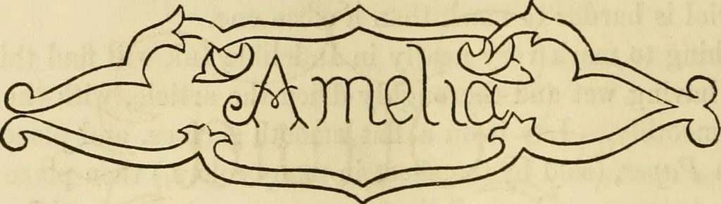 An illustration from The ladies' hand book of fancy and ornamental work ..., 1859, leaf 175