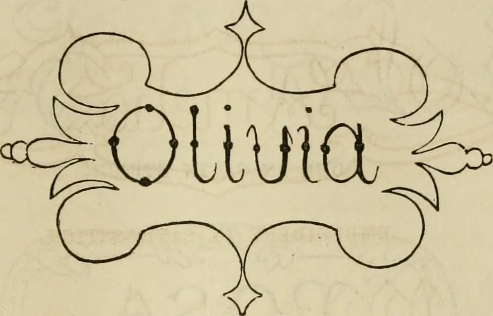 An illustration from The ladies' hand book of fancy and ornamental work ..., 1859, leaf 176