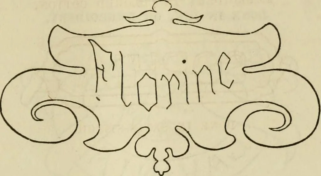 An illustration from The ladies' hand book of fancy and ornamental work ..., 1859, leaf 176