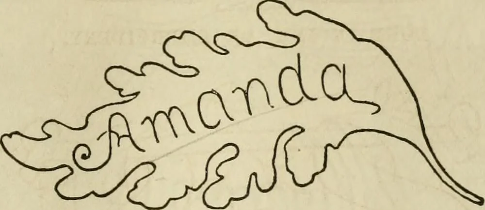 An illustration from The ladies' hand book of fancy and ornamental work ..., 1859, leaf 178