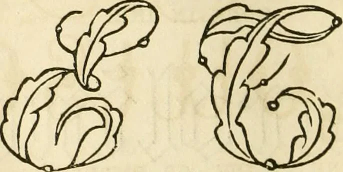 An illustration from The ladies' hand book of fancy and ornamental work ..., 1859, leaf 179