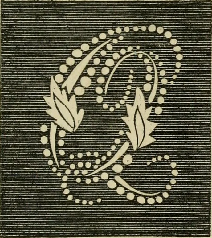 An illustration from The ladies' hand book of fancy and ornamental work ..., 1859, leaf 180