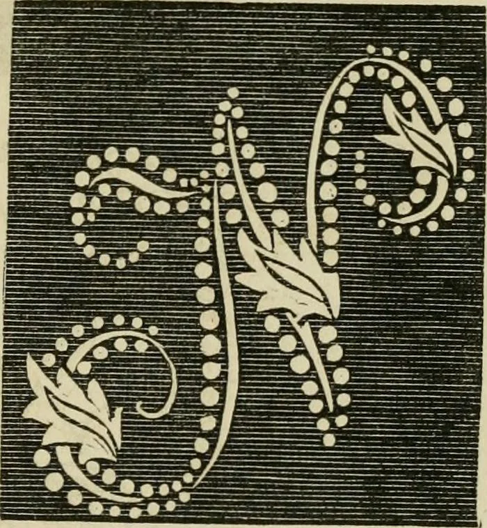 An illustration from The ladies' hand book of fancy and ornamental work ..., 1859, leaf 180