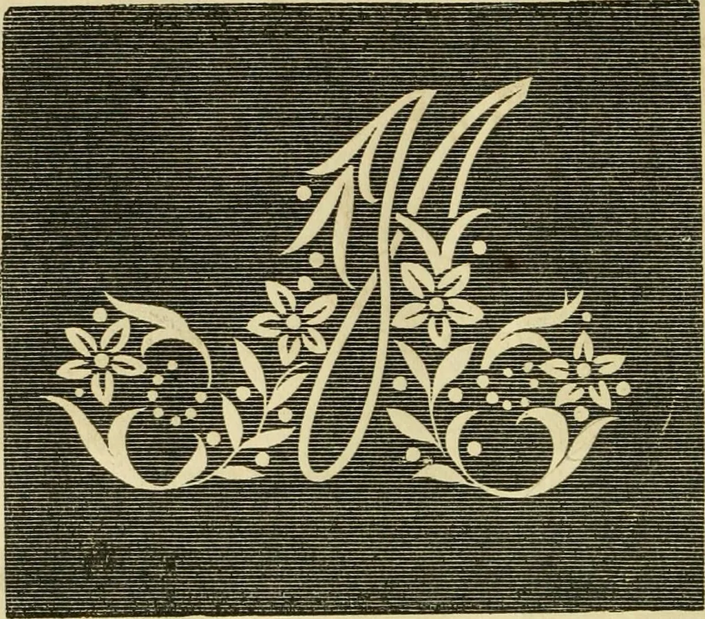 An illustration from The ladies' hand book of fancy and ornamental work ..., 1859, leaf 181