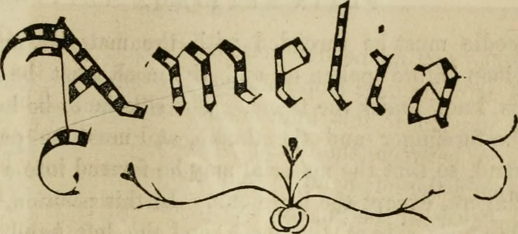 An illustration from The ladies' hand book of fancy and ornamental work ..., 1859, leaf 182