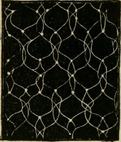 An illustration from The ladies' hand book of fancy and ornamental work ..., 1859, leaf 184