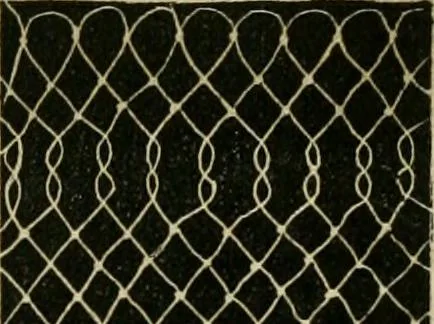 An illustration from The ladies' hand book of fancy and ornamental work ..., 1859, leaf 184