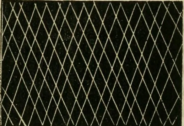 An illustration from The ladies' hand book of fancy and ornamental work ..., 1859, leaf 184