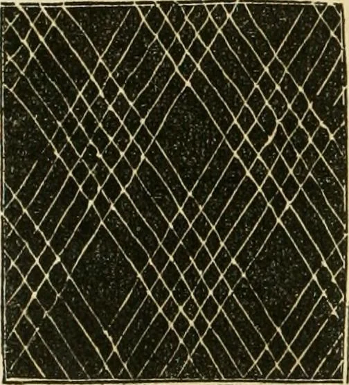An illustration from The ladies' hand book of fancy and ornamental work ..., 1859, leaf 185