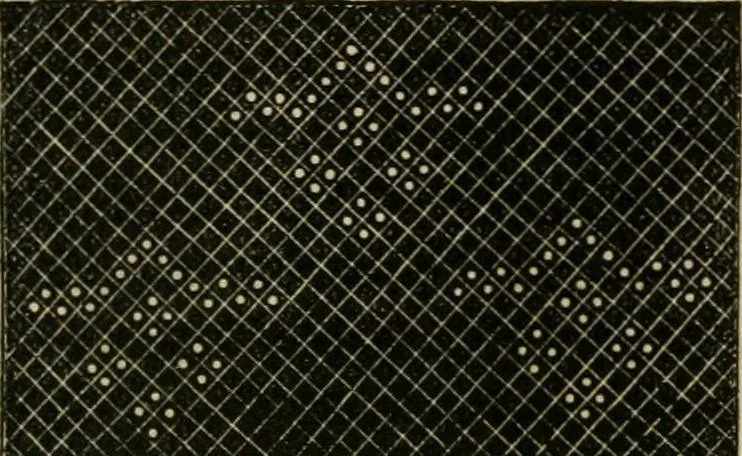 An illustration from The ladies' hand book of fancy and ornamental work ..., 1859, leaf 186
