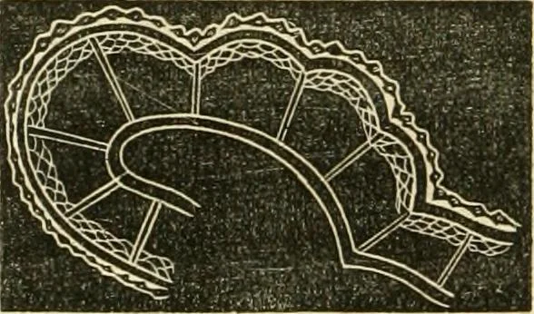 An illustration from The ladies' hand book of fancy and ornamental work ..., 1859, leaf 205