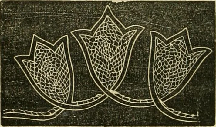 An illustration from The ladies' hand book of fancy and ornamental work ..., 1859, leaf 205