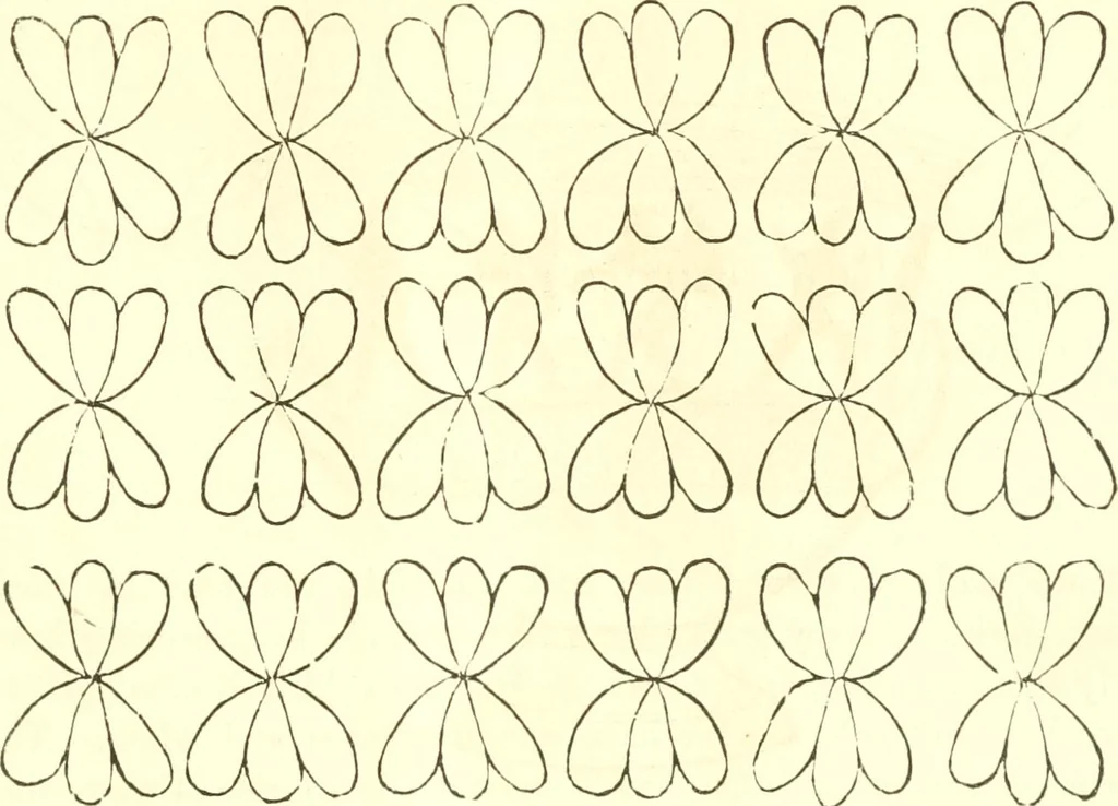 An illustration from The ladies' hand book of fancy and ornamental work ..., 1859, leaf 222