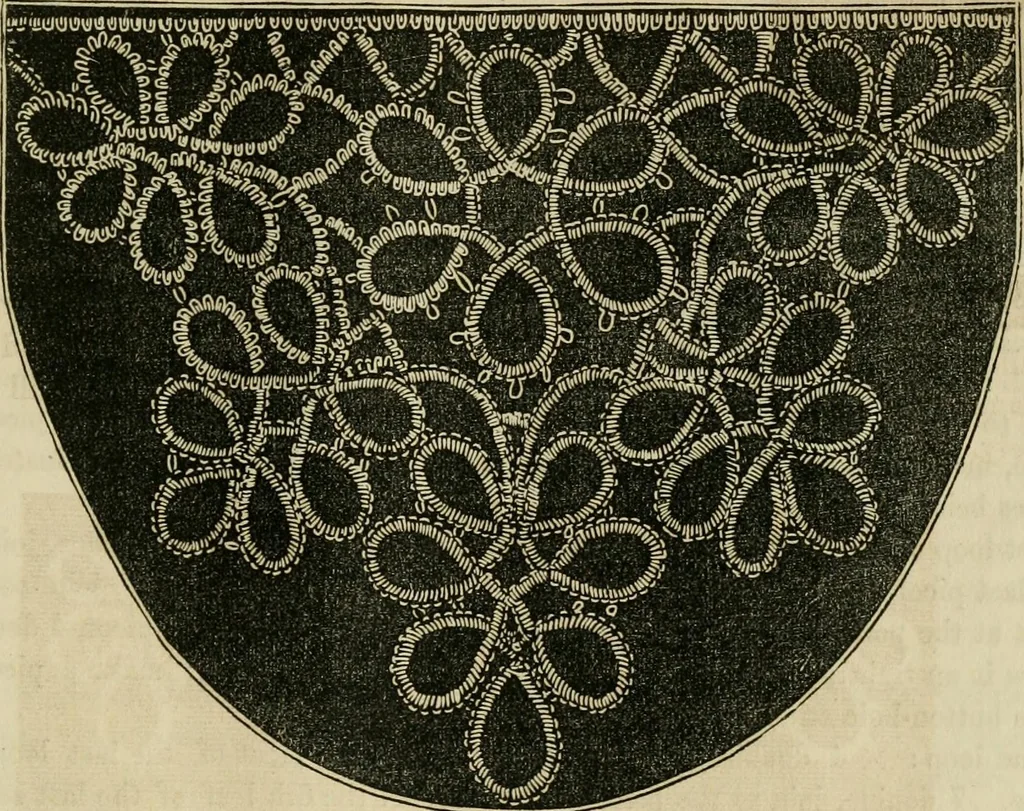 An illustration from The ladies' hand book of fancy and ornamental work ..., 1859, leaf 234