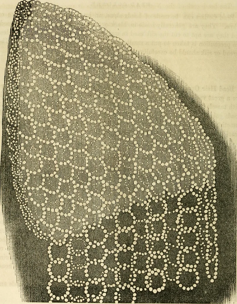 An illustration from The ladies' hand book of fancy and ornamental work ..., 1859, leaf 29