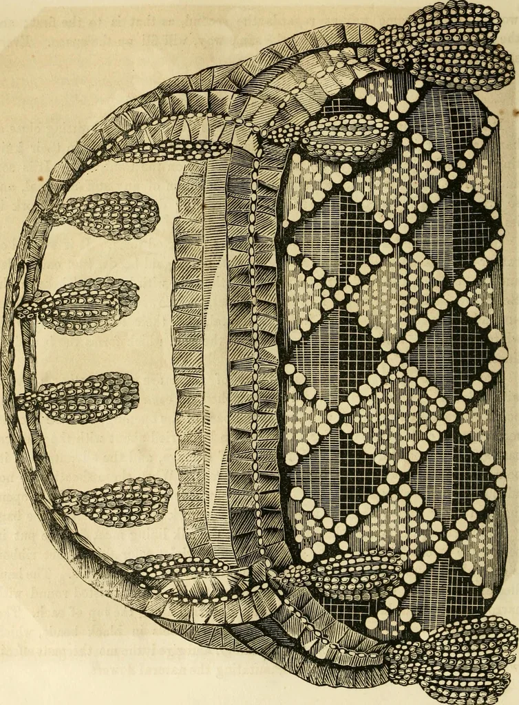 An illustration from The ladies' hand book of fancy and ornamental work ..., 1859, leaf 89