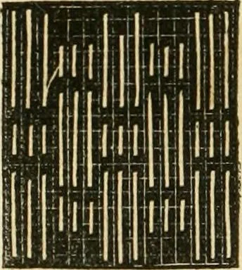 An illustration from The ladies' hand book of fancy and ornamental work ..., 1859, leaf 93
