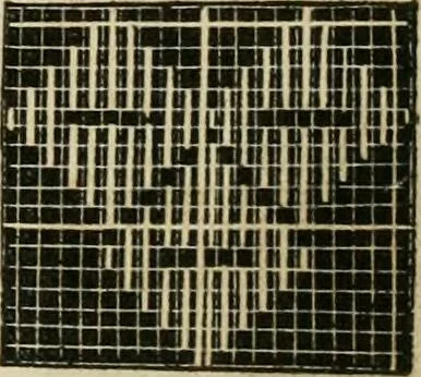 An illustration from The ladies' hand book of fancy and ornamental work ..., 1859, leaf 96
