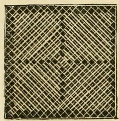 An illustration from The ladies' hand book of fancy and ornamental work ..., 1859, leaf 97