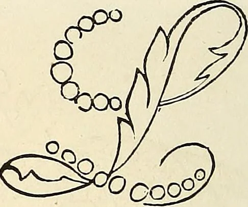 An illustration from The ladies' hand book of fancy and ornamental work .., 1860, leaf 131