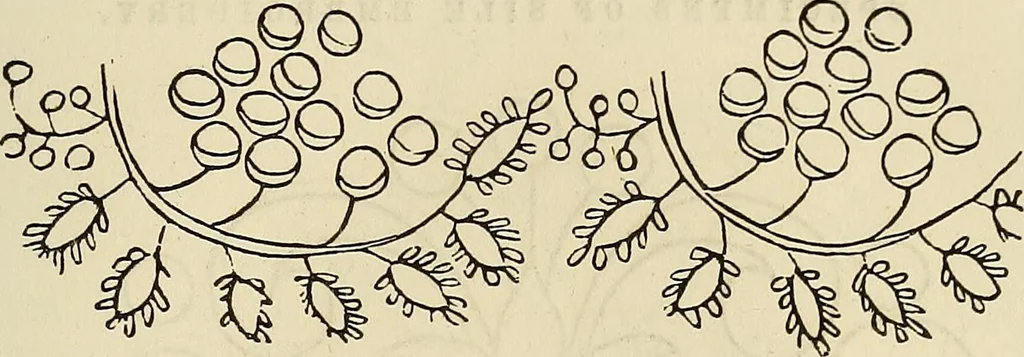 An illustration from The ladies' hand book of fancy and ornamental work .., 1860, leaf 136