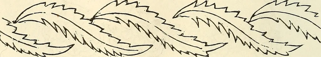 An illustration from The ladies' hand book of fancy and ornamental work .., 1860, leaf 137
