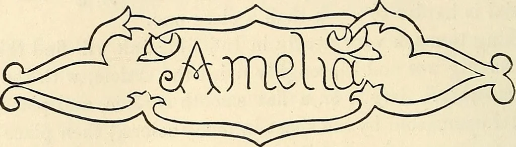 An illustration from The ladies' hand book of fancy and ornamental work .., 1860, leaf 175