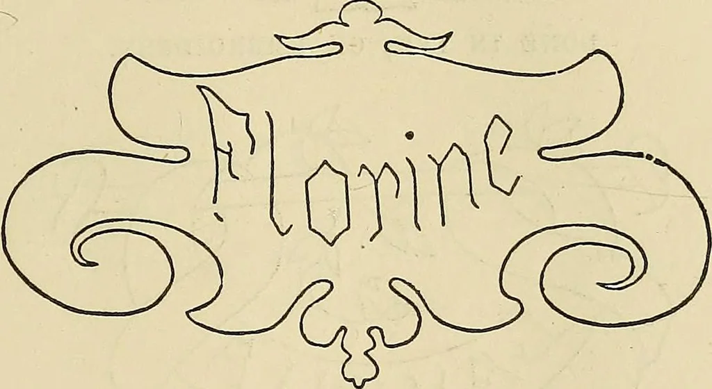 An illustration from The ladies' hand book of fancy and ornamental work .., 1860, leaf 176