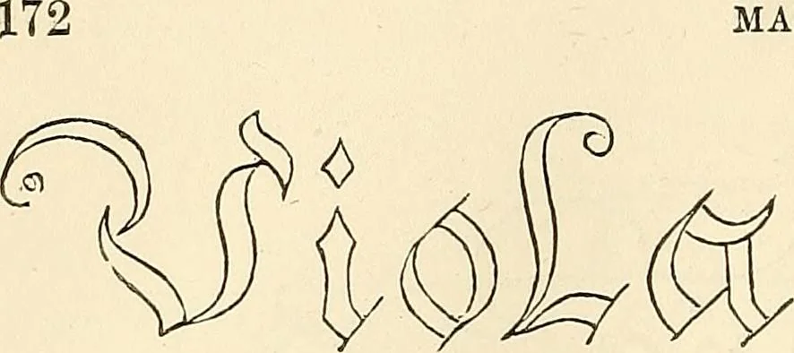 An illustration from The ladies' hand book of fancy and ornamental work .., 1860, leaf 177