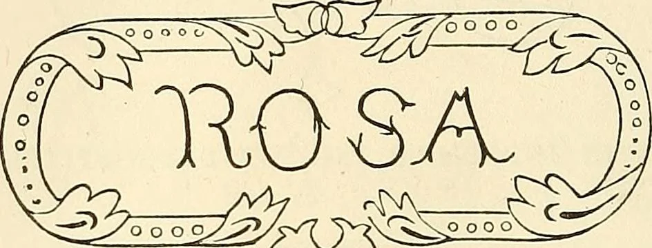 An illustration from The ladies' hand book of fancy and ornamental work .., 1860, leaf 177